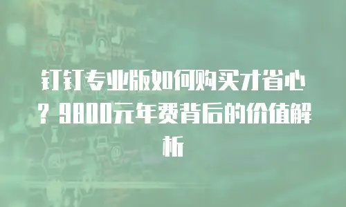 钉钉专业版如何购买才省心？9800元年费背后的价值解析