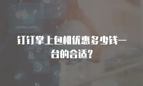 钉钉掌上包机优惠多少钱一台的合适？