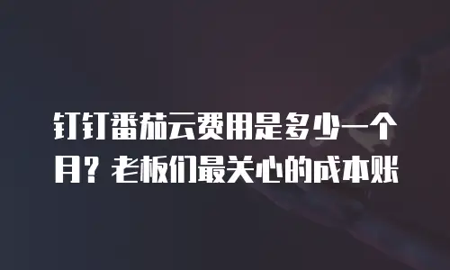 钉钉番茄云费用是多少一个月？老板们最关心的成本账