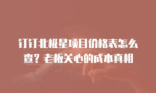 钉钉北极星项目价格表怎么查？老板关心的成本真相