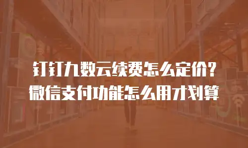钉钉九数云续费怎么定价？微信支付功能怎么用才划算