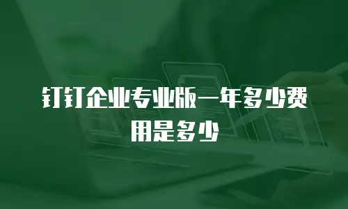 钉钉企业专业版一年多少费用是多少