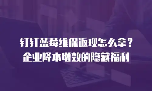 钉钉蓝莓维保返现怎么拿？企业降本增效的隐藏福利