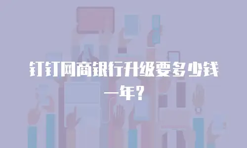 钉钉网商银行升级要多少钱一年？
