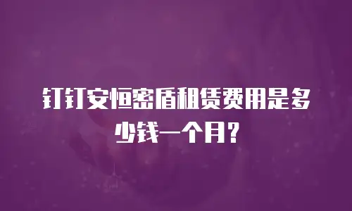 钉钉安恒密盾租赁费用是多少钱一个月？
