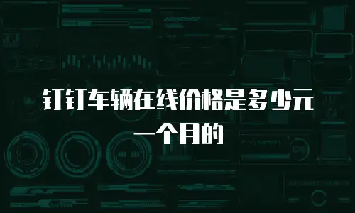 钉钉车辆在线价格是多少元一个月的