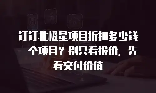 钉钉北极星项目折扣多少钱一个项目？别只看报价，先看交付价值