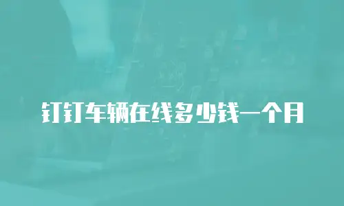 钉钉车辆在线多少钱一个月