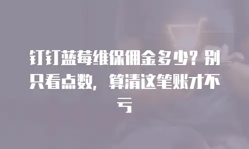 钉钉蓝莓维保佣金多少？别只看点数，算清这笔账才不亏