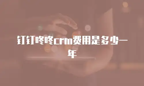 钉钉咚咚crm费用是多少一年