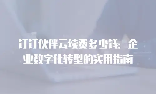 钉钉伙伴云续费多少钱：企业数字化转型的实用指南