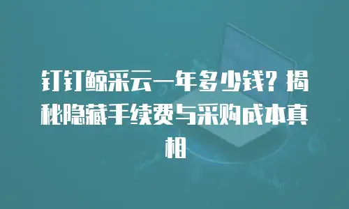 钉钉鲸采云一年多少钱？揭秘隐藏手续费与采购成本真相