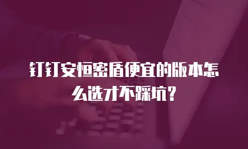 钉钉安恒密盾便宜的版本怎么选才不踩坑？