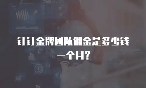 钉钉金牌团队佣金是多少钱一个月？