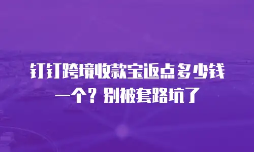 钉钉跨境收款宝返点多少钱一个？别被套路坑了