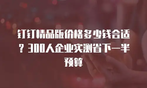 钉钉精品版价格多少钱合适？300人企业实测省下一半预算