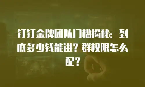 钉钉金牌团队门槛揭秘：到底多少钱能进？群权限怎么配？