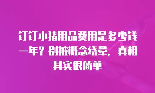钉钉小猪用品费用是多少钱一年？别被概念绕晕，真相其实很简单
