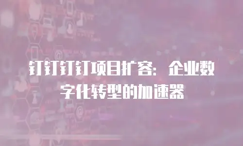 钉钉钉钉项目扩容：企业数字化转型的加速器