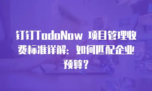钉钉TodoNow 项目管理收费标准详解：如何匹配企业预算？