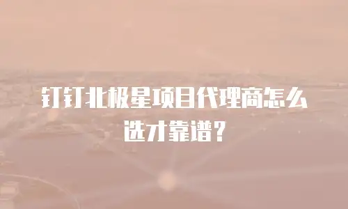 钉钉北极星项目代理商怎么选才靠谱？