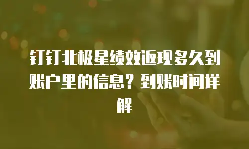 钉钉北极星绩效返现多久到账户里的信息？到账时间详解