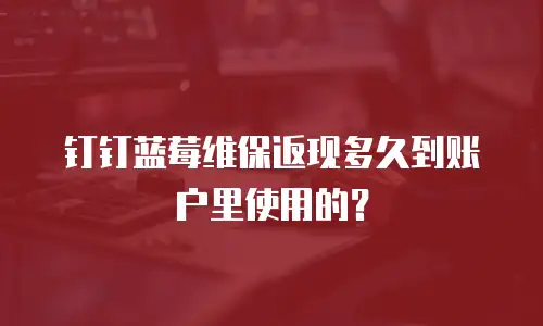 钉钉蓝莓维保返现多久到账户里使用的？