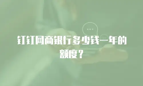 钉钉网商银行多少钱一年的额度？