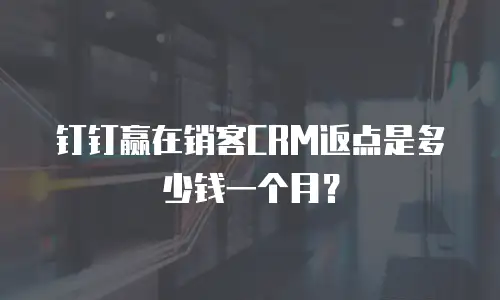 钉钉赢在销客CRM返点是多少钱一个月？