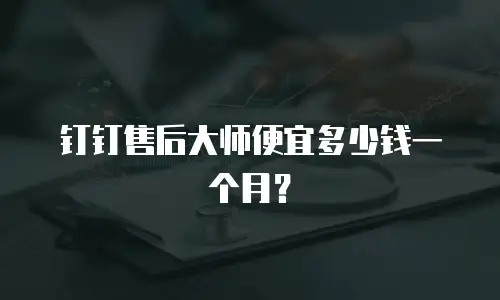 钉钉售后大师便宜多少钱一个月？