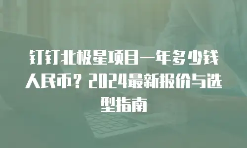 钉钉北极星项目一年多少钱人民币？2024最新报价与选型指南