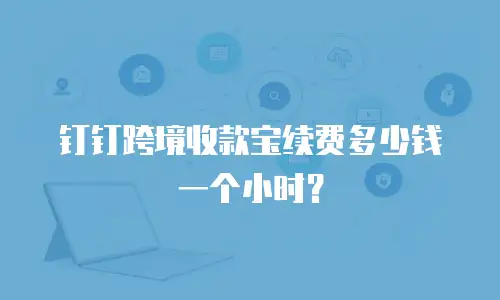 钉钉跨境收款宝续费多少钱一个小时？