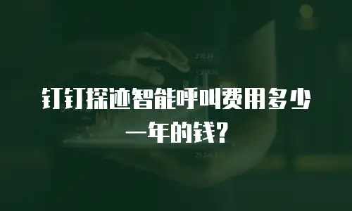 钉钉探迹智能呼叫费用多少一年的钱？
