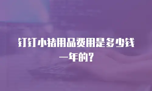 钉钉小猪用品费用是多少钱一年的？