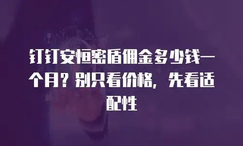 钉钉安恒密盾佣金多少钱一个月？别只看价格，先看适配性