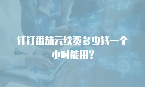 钉钉番茄云续费多少钱一个小时能用？