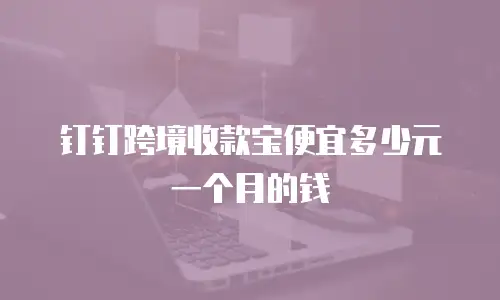 钉钉跨境收款宝便宜多少元一个月的钱