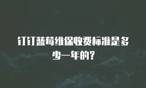 钉钉蓝莓维保收费标准是多少一年的？