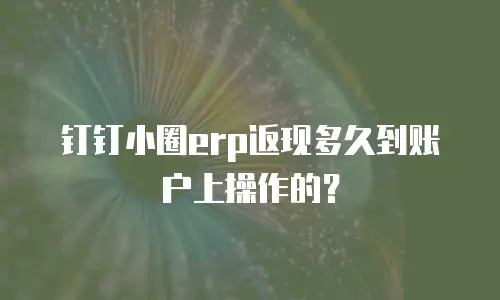 钉钉小圈erp返现多久到账户上操作的？