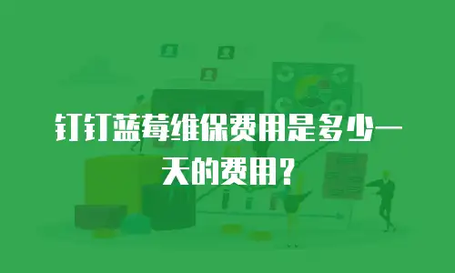 钉钉蓝莓维保费用是多少一天的费用？