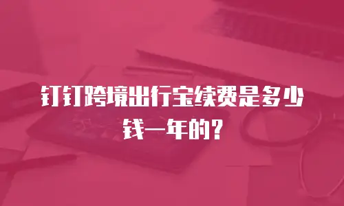 钉钉跨境出行宝续费是多少钱一年的？