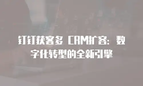 钉钉获客多 CRM扩容：数字化转型的全新引擎