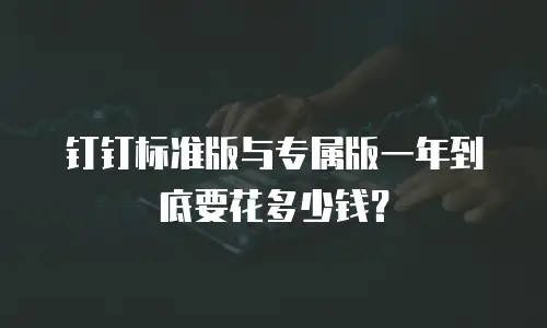 钉钉标准版与专属版一年到底要花多少钱？
