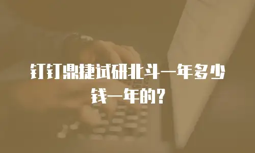 钉钉鼎捷试研北斗一年多少钱一年的？