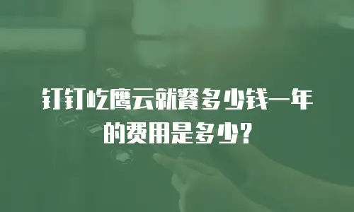 钉钉屹鹰云就餐多少钱一年的费用是多少？