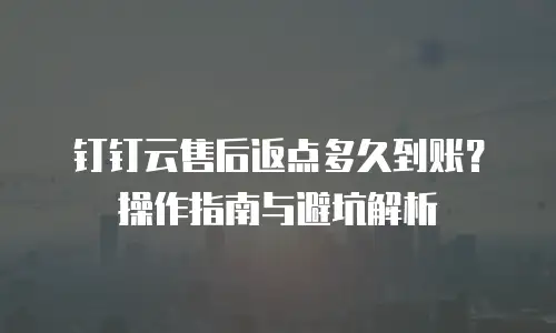 钉钉云售后返点多久到账？操作指南与避坑解析