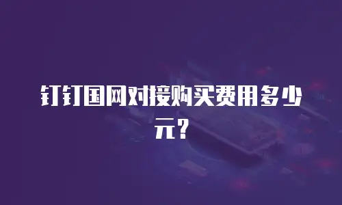 钉钉国网对接购买费用多少元？
