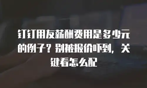 钉钉用友薪酬费用是多少元的例子？别被报价吓到，关键看怎么配