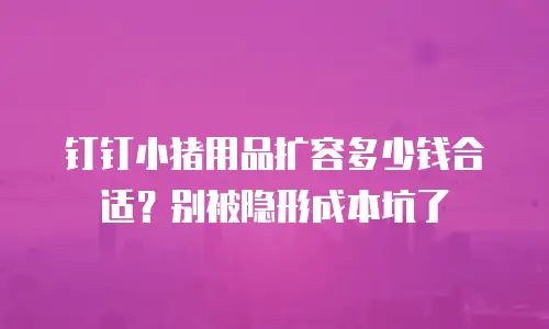 钉钉小猪用品扩容多少钱合适？别被隐形成本坑了
