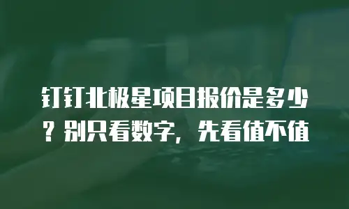 钉钉北极星项目报价是多少？别只看数字，先看值不值